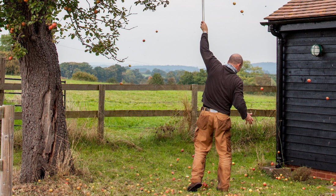 #7 - What is Cider? (Part 3) - Pommelier Club